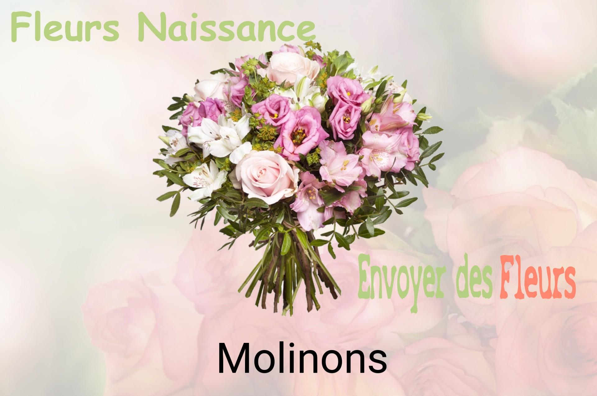 Bouquet de fleurs de naissance livré à Molinons